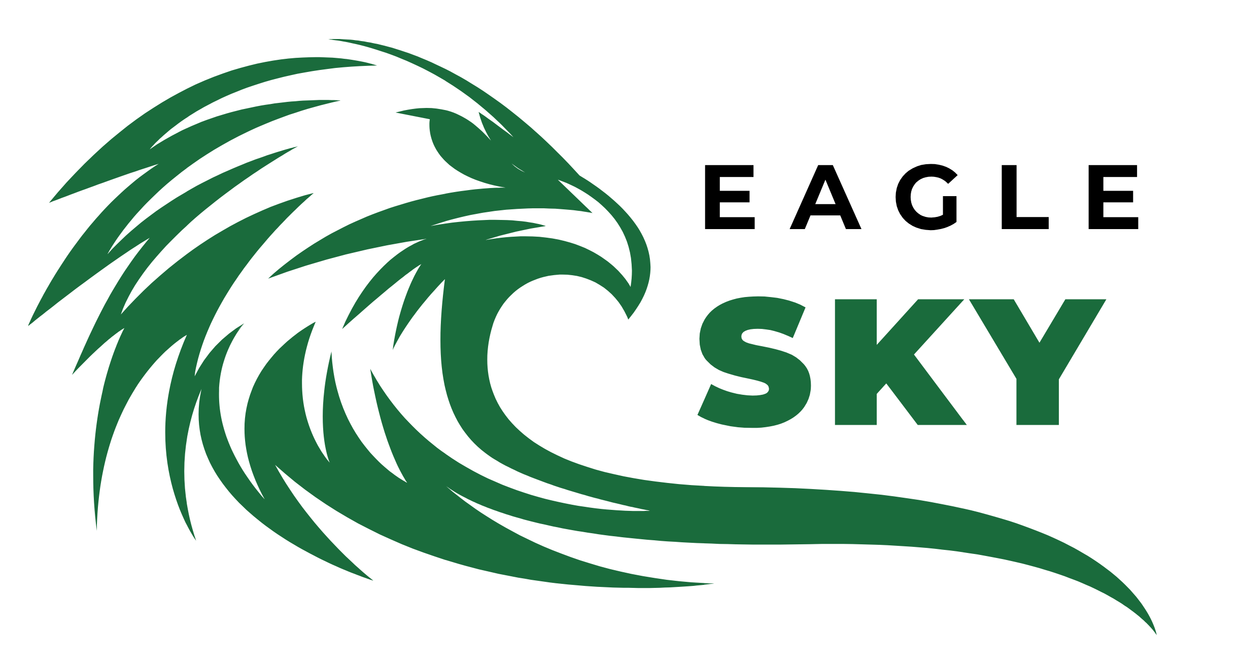 EagleSky